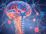 Psychoneuroimmunology: Stress Management, IV Therapy, and Lowering Stress Levels with IVtoGo